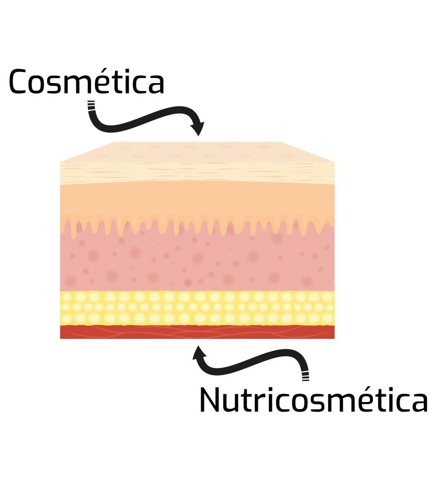 Cosmetica solida e nutricosmetica: infografica dell'azione di cosmetica e nutricosmetica sulla pelle