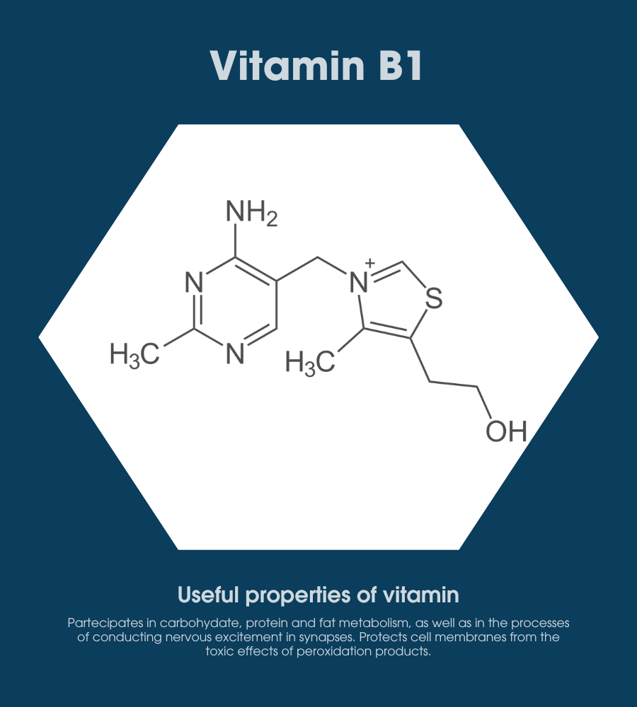 Illustrazione della struttura della vitamina B1 utile in caso di difficoltà cognitive