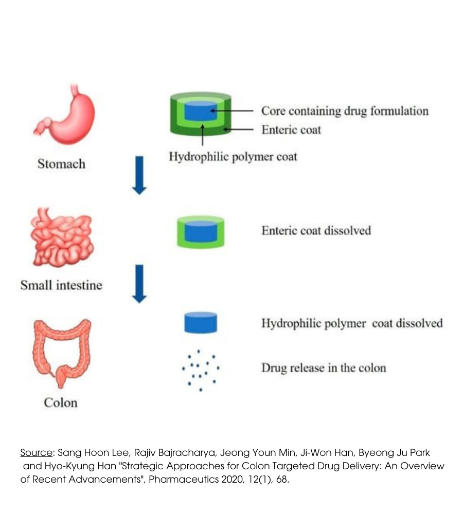 Illustration of the operation of IBS product technology, to counter irritable bowel syndrome